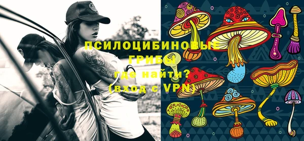 круглые Алзамай