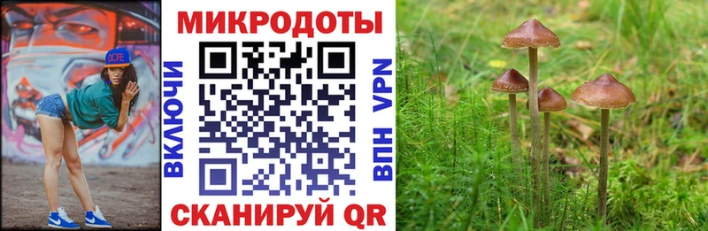Псилоцибиновые грибы Cubensis закладка Черемхово